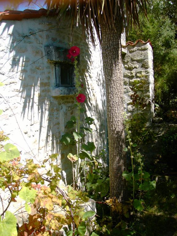 ホテルLes Jardins Saint Leonard Thairé エクステリア 写真